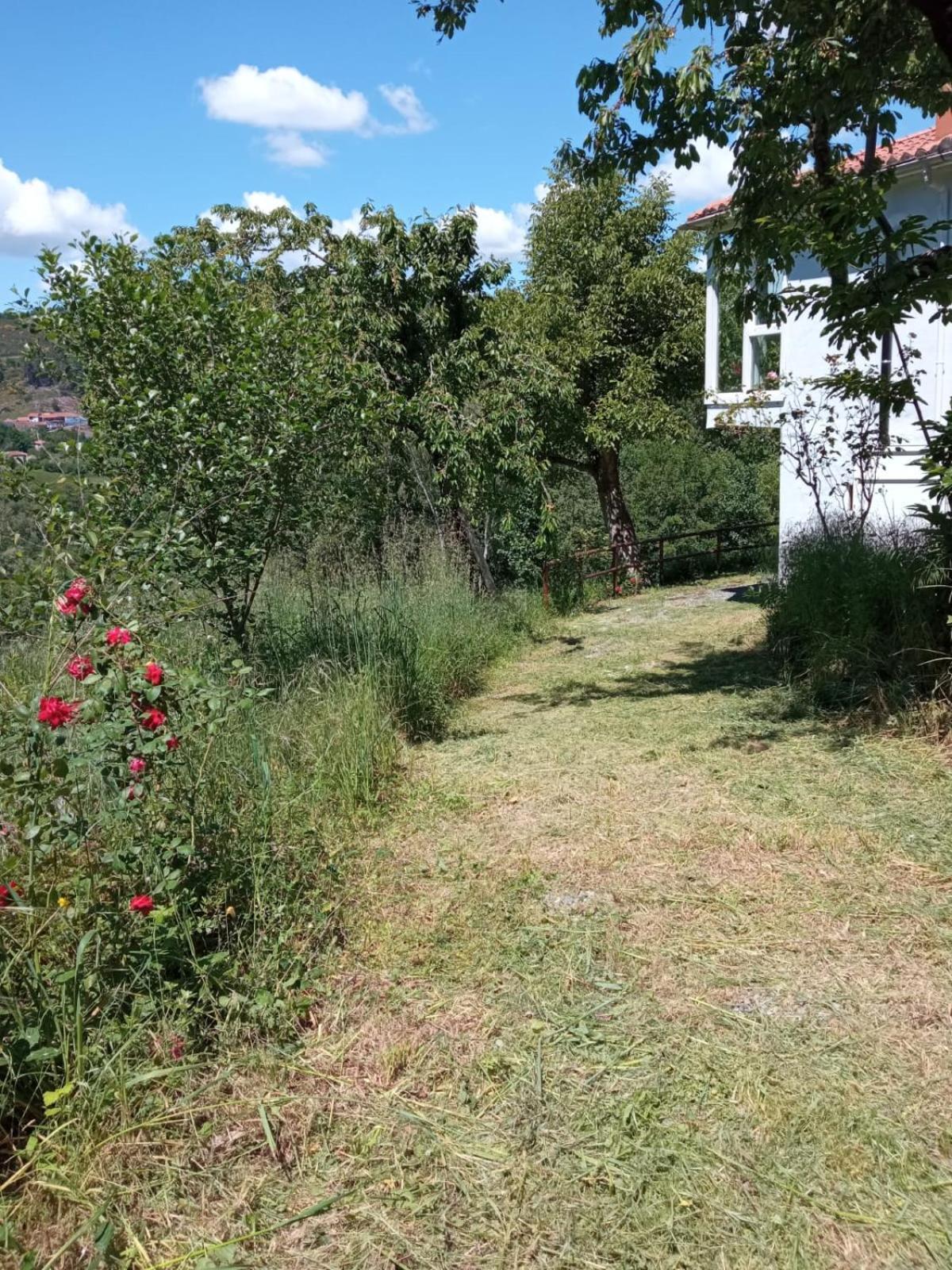 Holiday home O Salgueiral